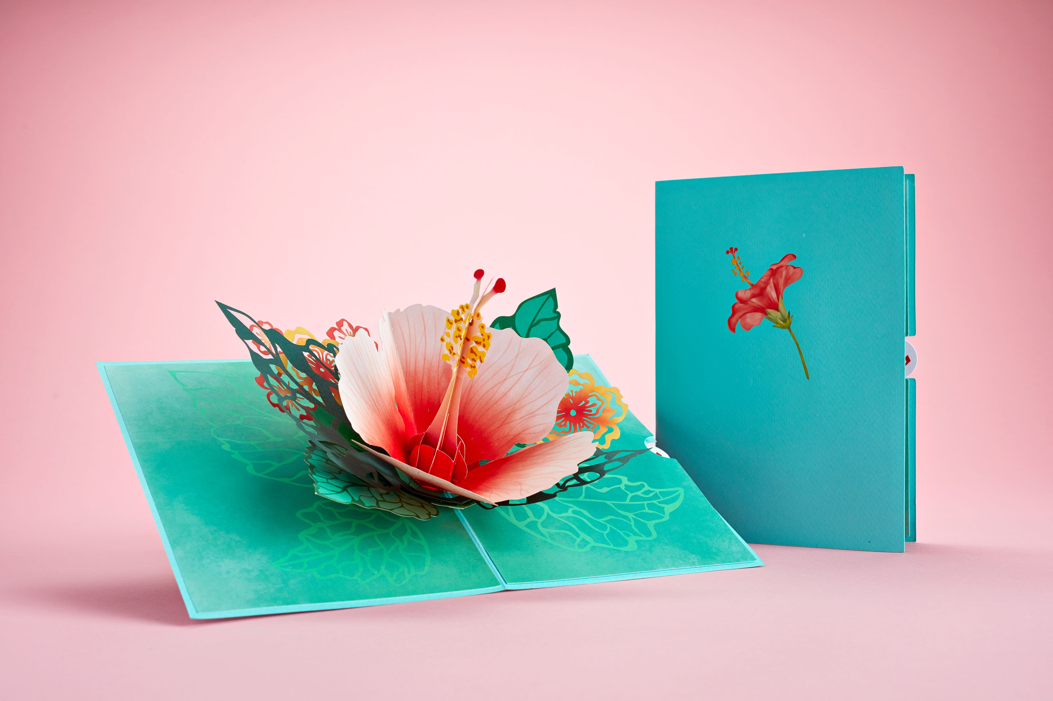 Hibiscus Bloom Lovepop card